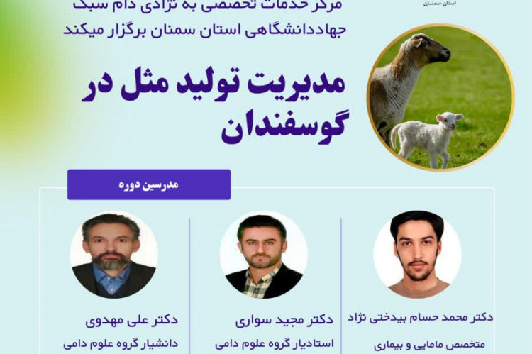 دوره آموزشی &quot;مدیریت تولیدمثل در گوسفندان&quot;
