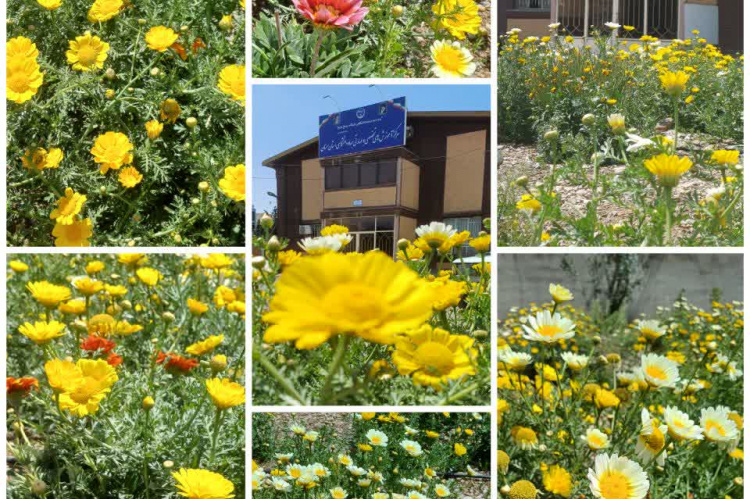طبیعت زیبای بهاری اولین روز اردیبهشت در مرکز آموزش های تخصصی و مهارتی جهاددانشگاهی استان سمنان
