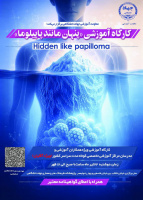 کارگاه آموزشی «پنهان مانند پاپیلوما» ویژه آقایان